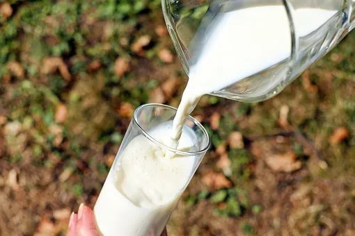 На Кубани с начала 2021 года объем производства молока превысил 1,1 млн тонн – Андрей Коробка