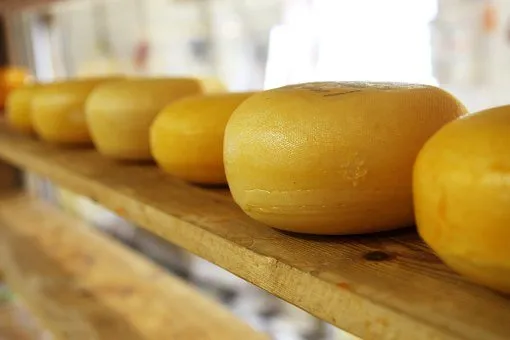 Краснодарский край сегодня входит в пятерку крупнейших производителей сыра в России