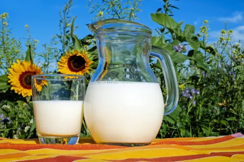 «Агроэкспорт»: За последние 5 лет объем производства молока на Кубани возрос в 1,2 раза