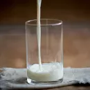 Производители молочной продукции на Кубани исключили дефицит товаров