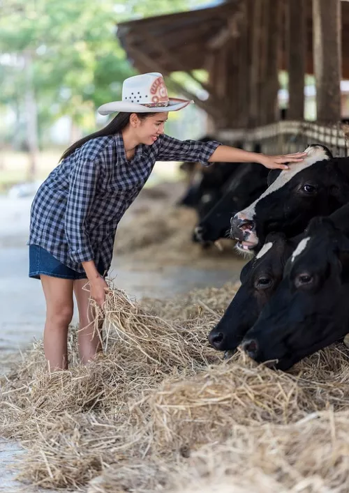 На Кубани планируют построить селекционно-генетический центр на 1,2 тысячи коров