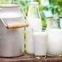 вкусное домашное молоко  в Краснодаре