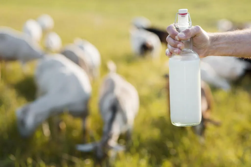 ищу козье молоко в Краснодаре и Краснодарском крае